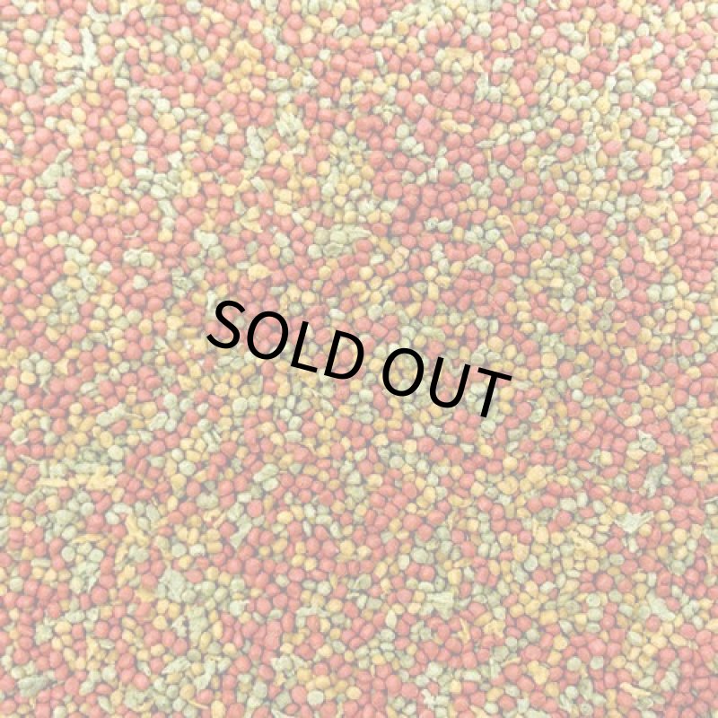 画像2: CAP! 鳥の餌 賞味期限2026/4/18【ヒギンズ】インチューンナチュラル パラキート 2LB(0.91kg) 30245 (2)