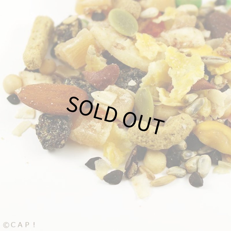 画像2: CAP! 鳥の餌 賞味期限2026/5/27ヒギンズ サンバースト フルーツトゥナッツ 5oz(141.75g) (2)