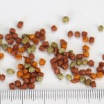 画像2: CAP! 鳥の餌 賞味期限2026/10/18【ヒギンズ】インチューンナチュラル カナリア＆フィンチ 2LB(0.91kg) 30248 (2)