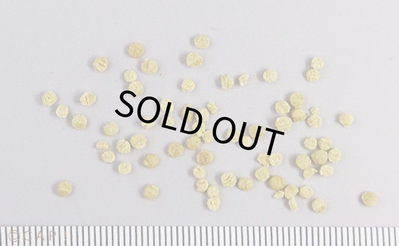 画像3: CAP! 鳥の餌 賞味期限2027/3/31 ハリソン アダルトライフタイム スーパーファイン 1#(454g)★ (3)