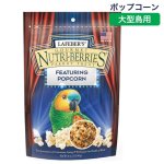 画像1: CAP! 鳥の餌 賞味期限2026/6/4 ラフィーバー ポップコーン パロット 4oz (1)