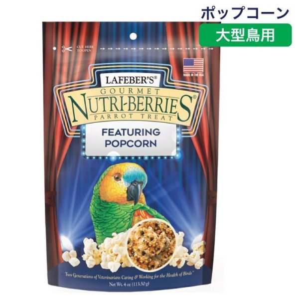 画像1: CAP! 鳥の餌 賞味期限2026/6/4 ラフィーバー ポップコーン パロット 4oz (1)