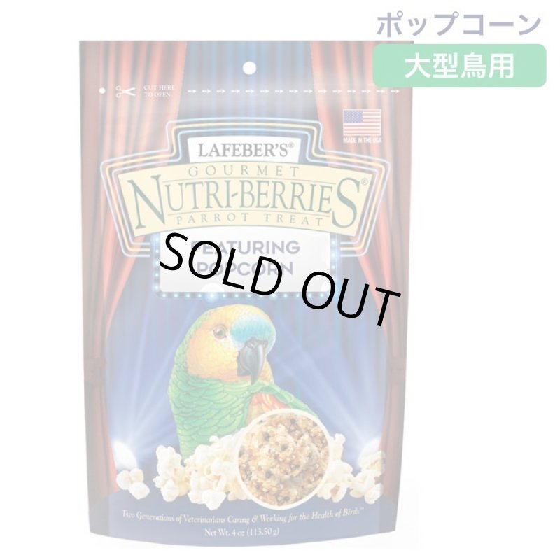 画像1: CAP! 鳥の餌 賞味期限2026/6/4 ラフィーバー ポップコーン パロット 4oz (1)