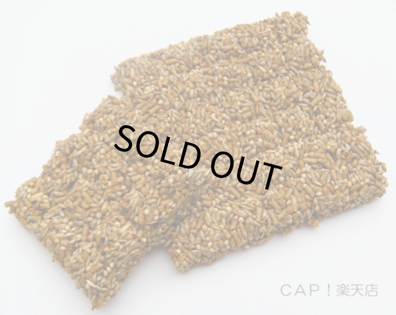 画像6: CAP! 鳥の餌 賞味期限2026/12/16 ラフィーバー アヴィケーキ スモールバード 8oz (6)