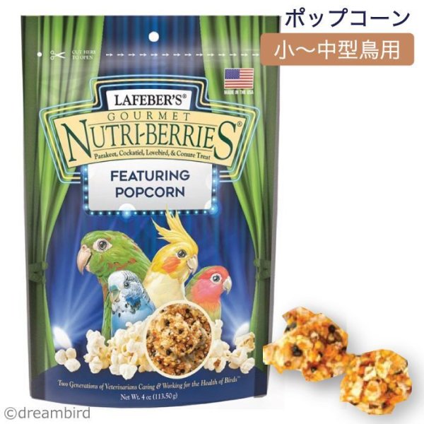 画像1: CAP! 鳥の餌 賞味期限2026/7/15 ラフィーバー ポップコーン オカメインコ 4oz (1)