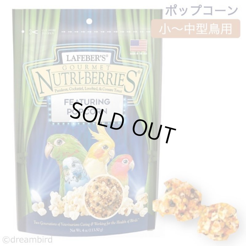 画像1: CAP! 鳥の餌 賞味期限2026/7/15 ラフィーバー ポップコーン オカメインコ 4oz (1)