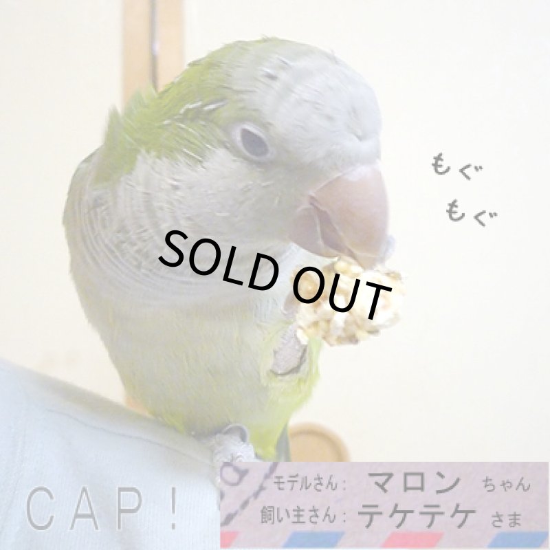 画像3: CAP! 鳥の餌 賞味期限2026/11/22 ラフィーバー ポップコーン オカメインコ 4oz (3)