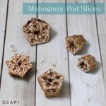 画像2: 【Parts】Dry Mahogany Pod Slices ※スライス※ 10g入★ (2)
