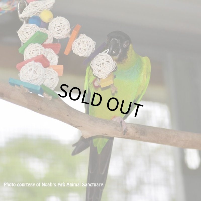 画像3: SB505 Mini Starburst (3)