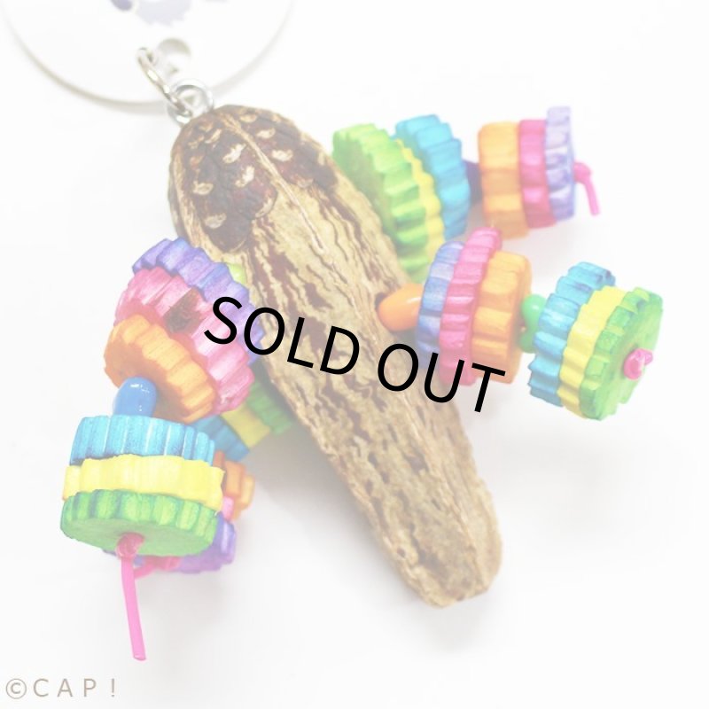 画像3: PK2011 Zip-a-de-do-dah (3)