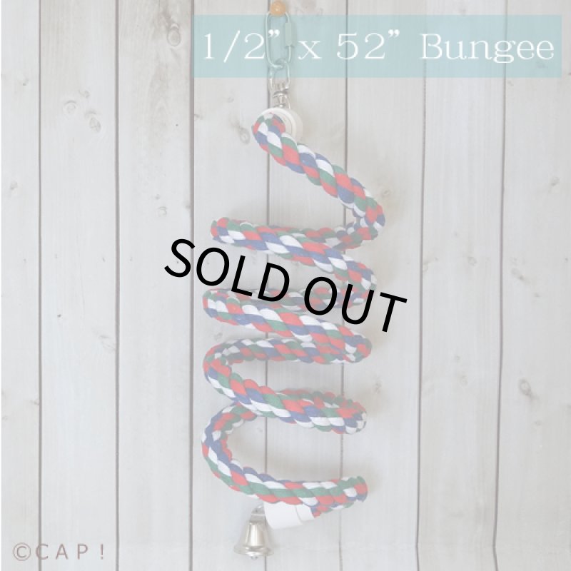 画像2: SB323 1/2"x52" Bungee (2)