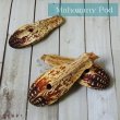 画像2: 【Parts】Mahogany Pod 1個 ※ポッド※★ (2)