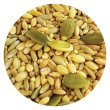 画像2: 賞味期限2026/6/30【TOP's Parrot Food】All in One Seed Mix 1#（453g） (2)