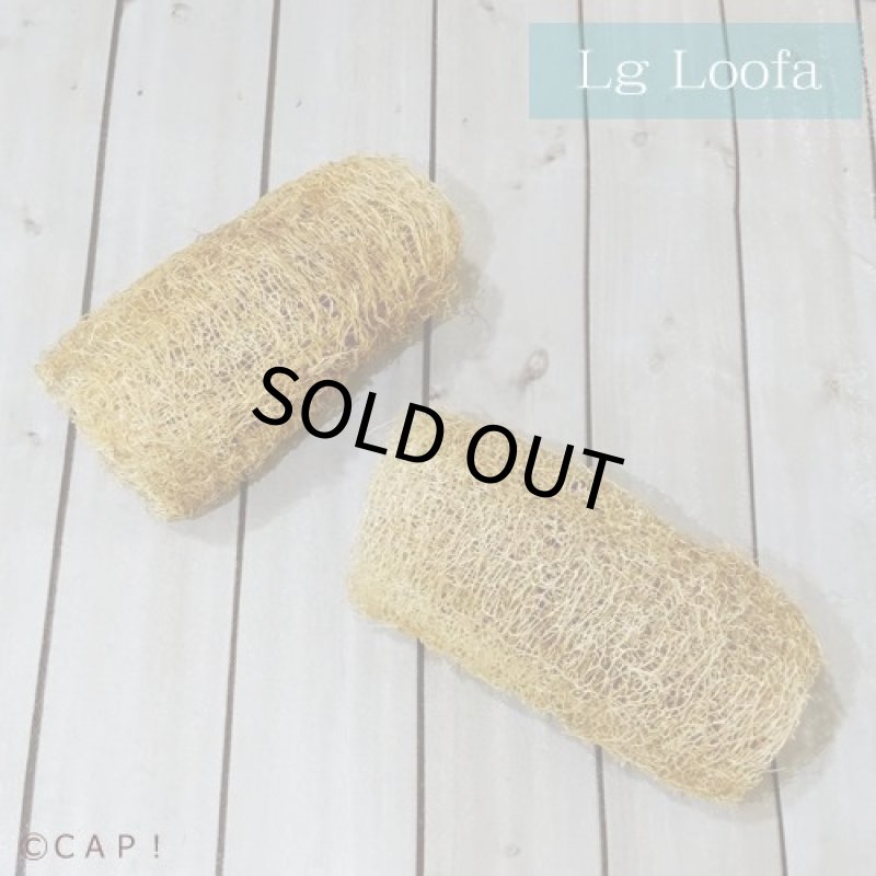 画像2: 【Parts】Lg Loofa 1個★ (2)