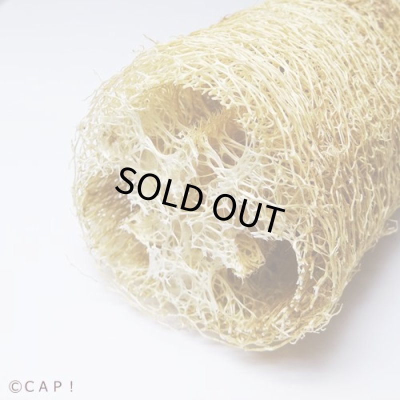 画像3: 【Parts】Lg Loofa 1個★ (3)