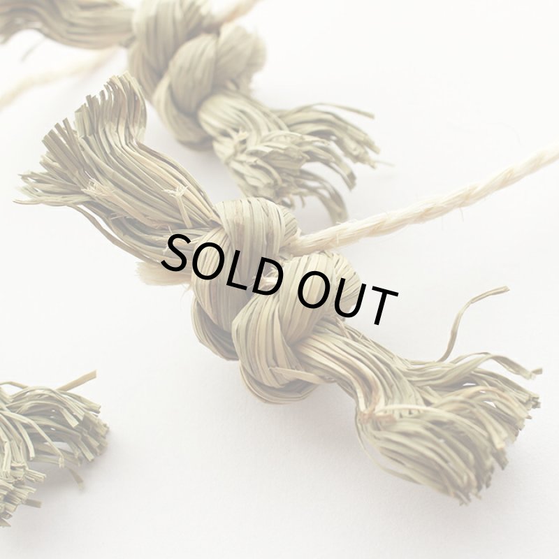 画像2: かじりーず あめちゃん三昧 (2)