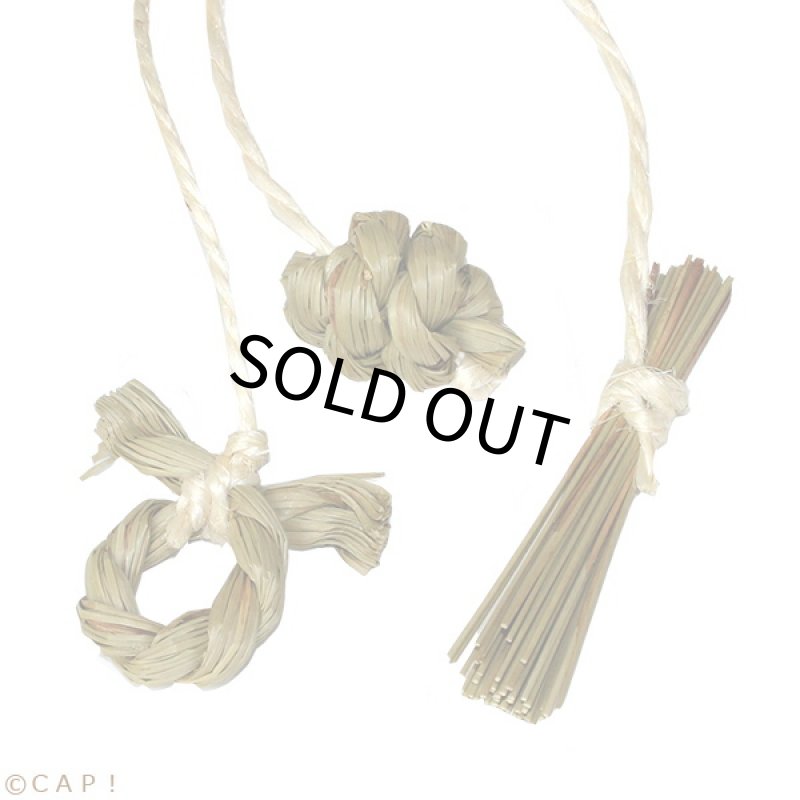 画像1: かじりーず　びぎなーず3 (1)