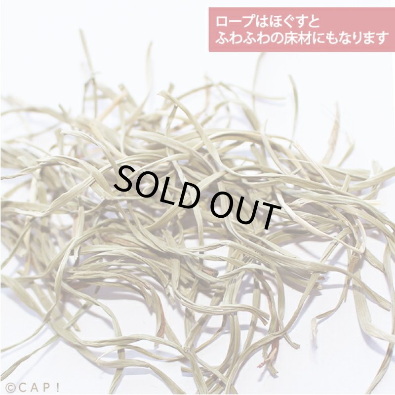 画像2: かじりーず　いぐさロープ端材　50ｇ (2)