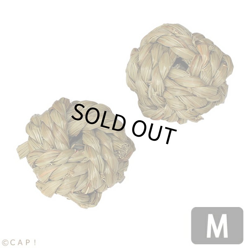 画像1: かじりーず　ボールM (1)