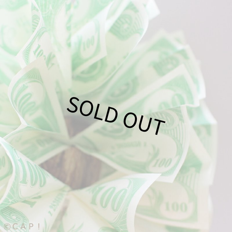 画像3: 【jerry's bird toy】Jerry023 リッチベア★ (3)