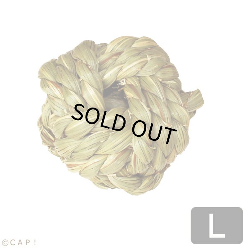 画像1: かじりーず　ボールL (1)