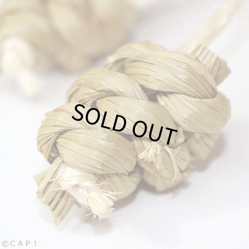 画像2: かじりーず　ボール三昧 (2)