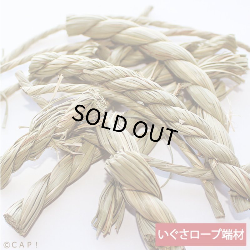 画像1: かじりーず　いぐさロープ端材　50ｇ (1)