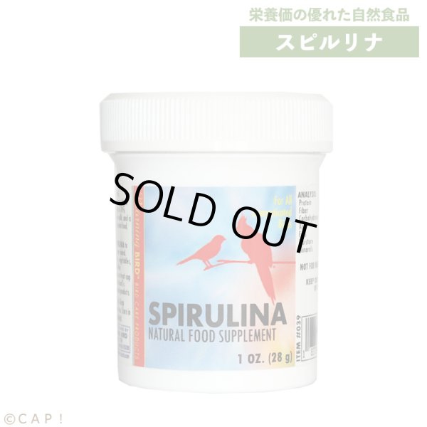 画像1: CAP! 鳥の餌 賞味期限2024/12/31 スピルリナ 1oz(28g）【Wyld's Wingdom】 (1)