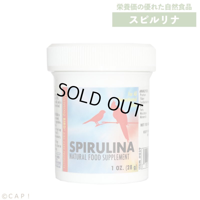 画像1: CAP! 鳥の餌 賞味期限2024/12/31 スピルリナ 1oz(28g）【Wyld's Wingdom】 (1)