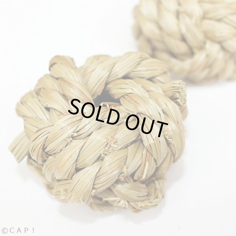 画像2: かじりーず　ボールM (2)