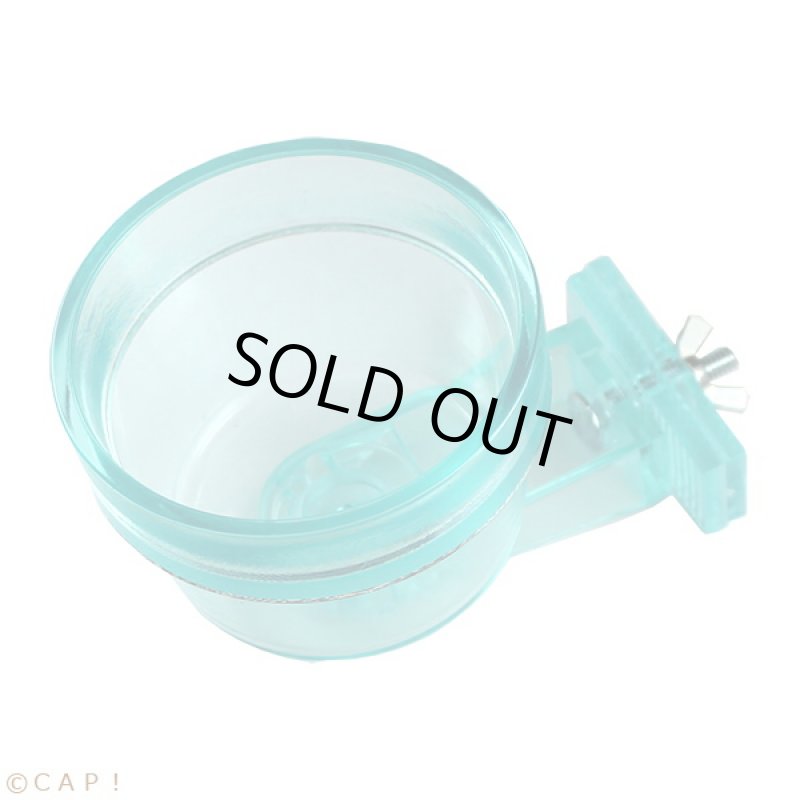 画像1: 【Wyld's Wingdom】#0510 Quick-Lock 10oz (296ml)　アクアグリーン（critter brites） (1)
