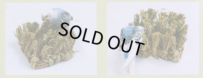 画像3: KAWAI もじゃもじゃS (3)