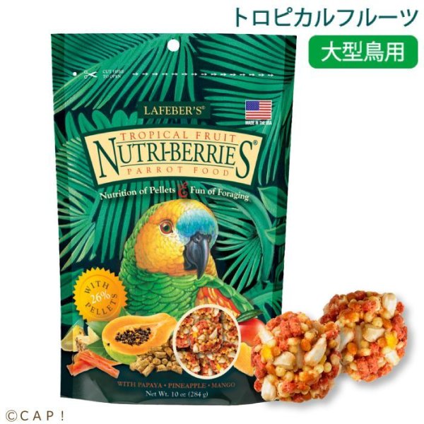 画像1: CAP! 鳥の餌 賞味期限2026/7/22ラフィーバー トロピカルフルーツ パロット(10oz/284g) (1)