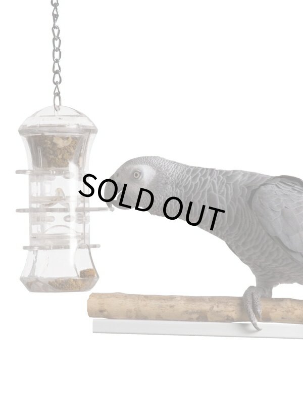 画像2: 【Wyld's Wingdom】プッシュ&プルフォレジャー (2)