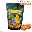画像1: CAP! 鳥の餌 賞味期限2026/7/15 ラフィーバー トロピカルフルーツ オカメインコ (10oz/284g) (1)