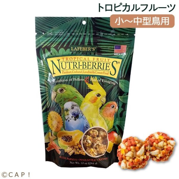 画像1: CAP! 鳥の餌 賞味期限2026/7/15 ラフィーバー トロピカルフルーツ オカメインコ (10oz/284g) (1)