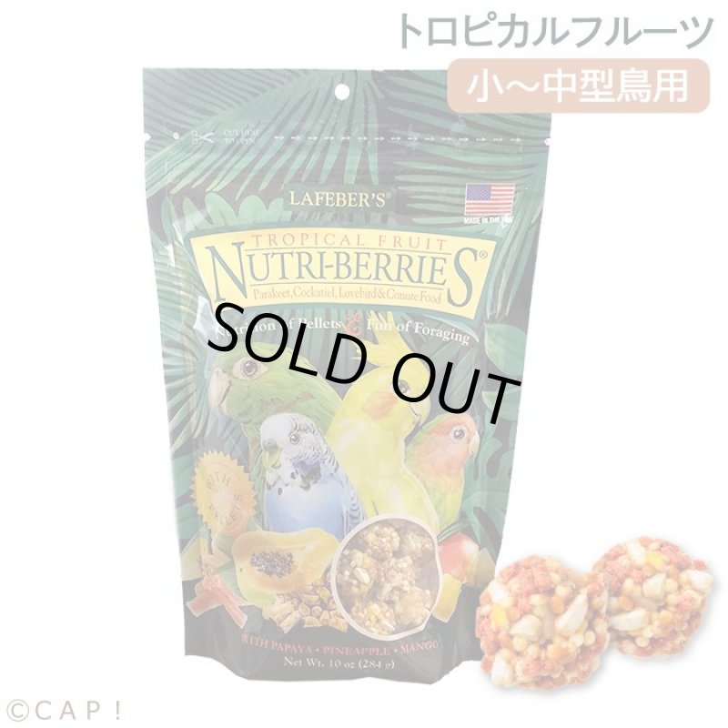 画像1: CAP! 鳥の餌 賞味期限2026/7/15 ラフィーバー トロピカルフルーツ オカメインコ (10oz/284g) (1)