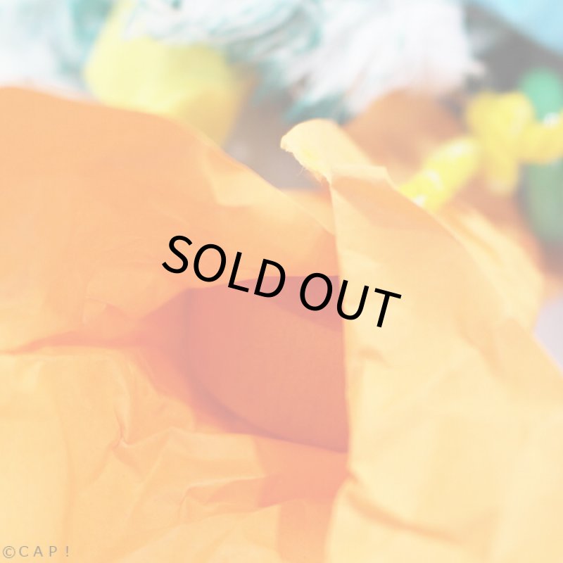 画像3: 【Playful Parrot】Mardi Gras 82001 (3)