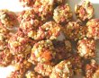 画像3: CAP! 鳥の餌 賞味期限2026/7/22ラフィーバー トロピカルフルーツ パロット(10oz/284g) (3)