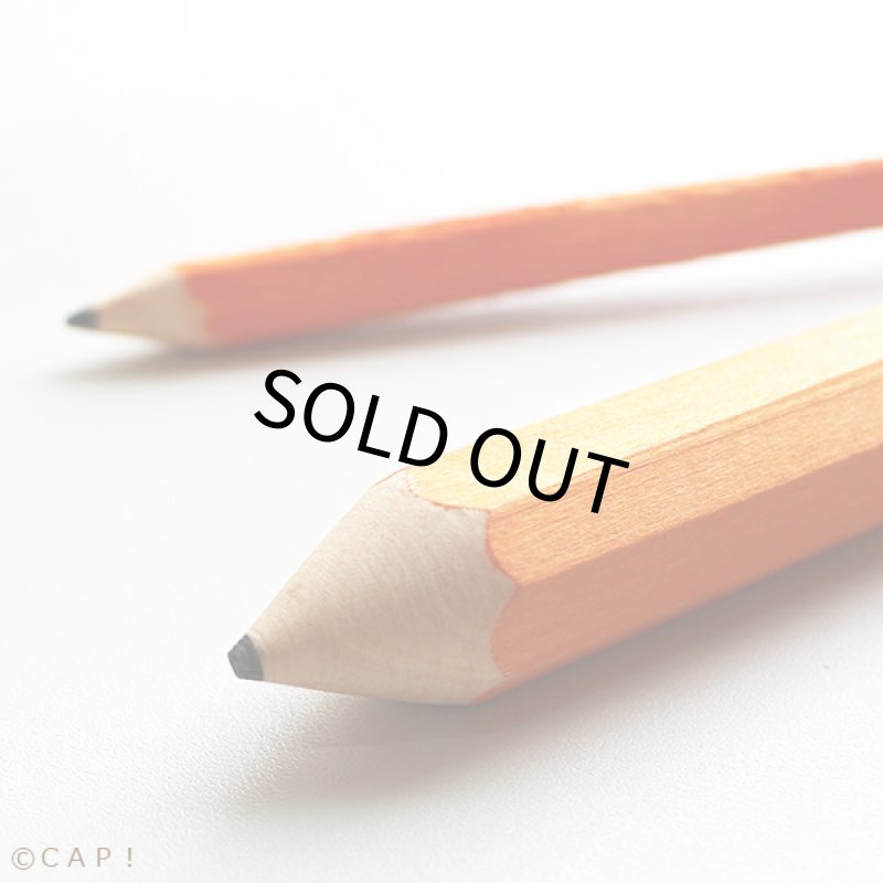 画像2: 【Wyld's Wingdom】ペンシル フットトイ 太 (2)