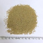 画像2: CAP! 鳥の餌 賞味期限2026/5/31イースター インコセレクション トータルペレット (2)