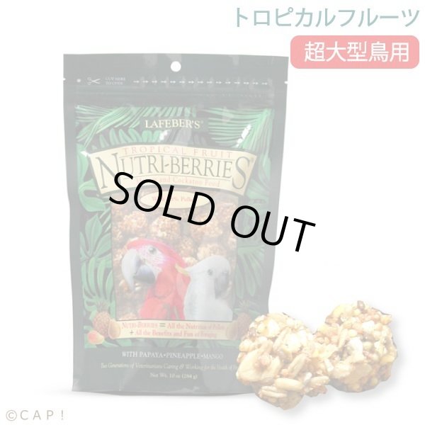 画像1: CAP! 鳥の餌 賞味期限2026/1/29 ラフィーバー トロピカルフルーツ マコウ(10oz/284g) (1)