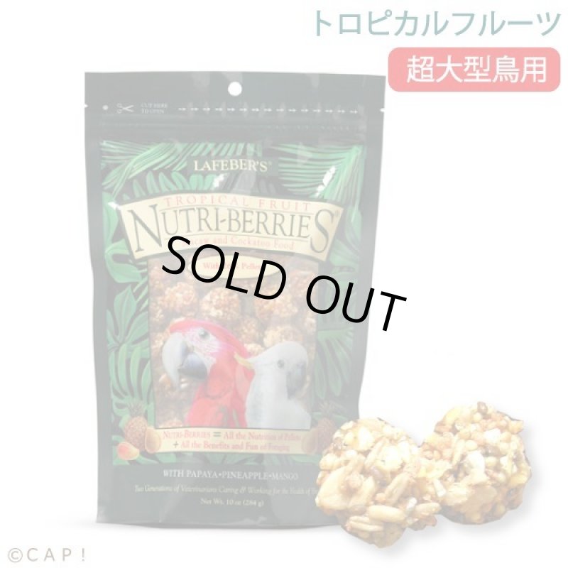 画像1: CAP! 鳥の餌 賞味期限2026/1/29 ラフィーバー トロピカルフルーツ マコウ(10oz/284g) (1)