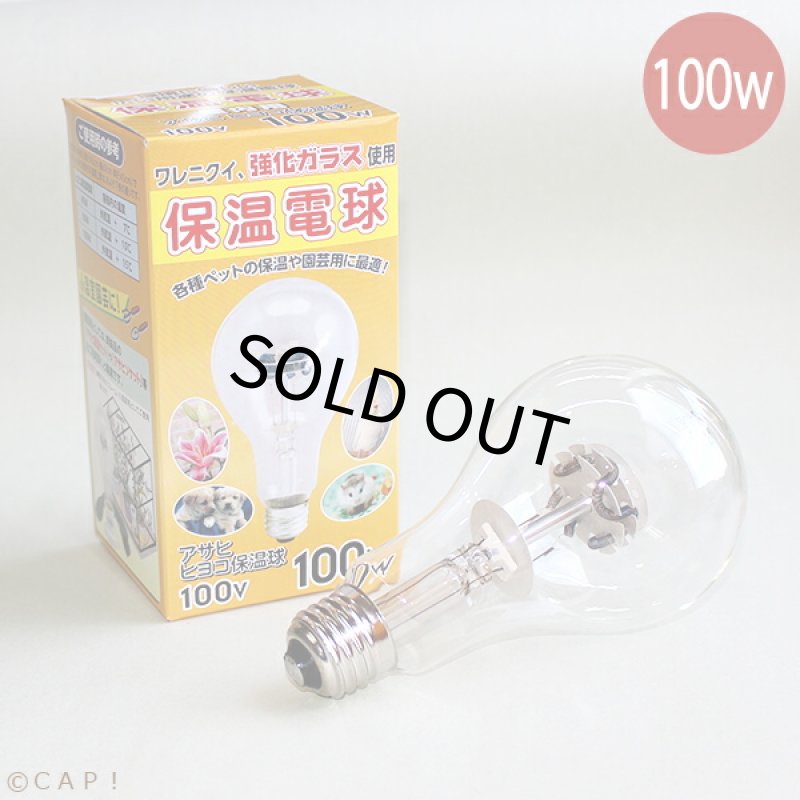 画像1: アサヒ 保温電球 100W (1)