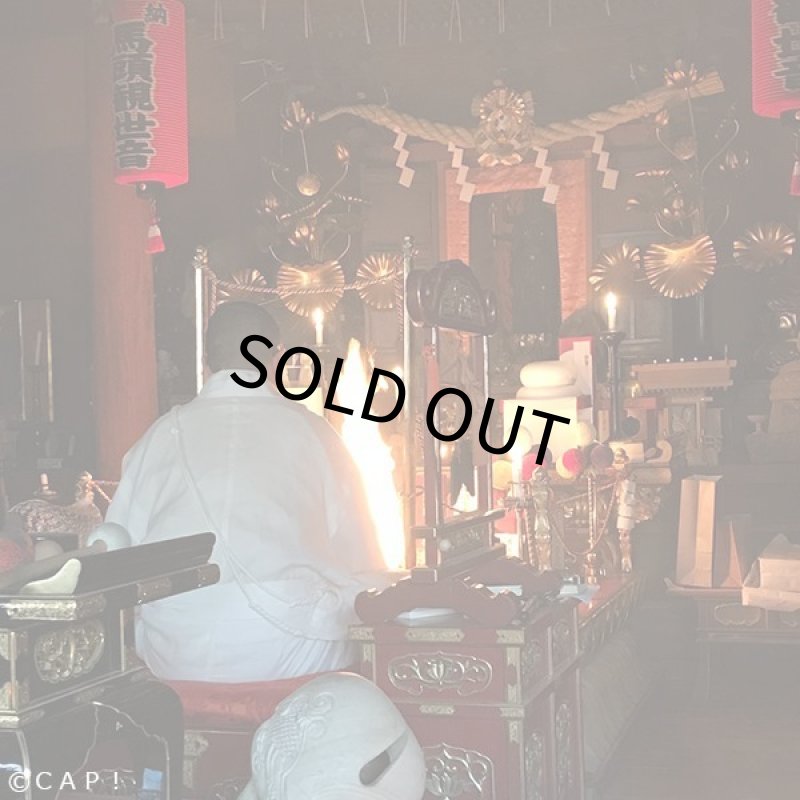 画像4: 【七沢観音寺】インコ御守 ワカケホンセイインコ(魔除)★ (4)