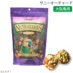 画像1: CAP! 鳥の餌 賞味期限2026/6/9 ラフィーバー サニーオーチャード パロット(10oz/284g) (1)