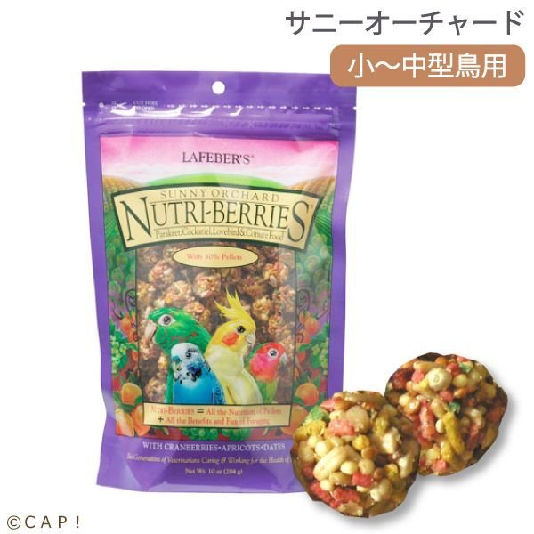 画像1: CAP! 鳥の餌 賞味期限2026/7/21 ラフィーバー サニーオーチャード オカメインコ (10oz/284g) (1)
