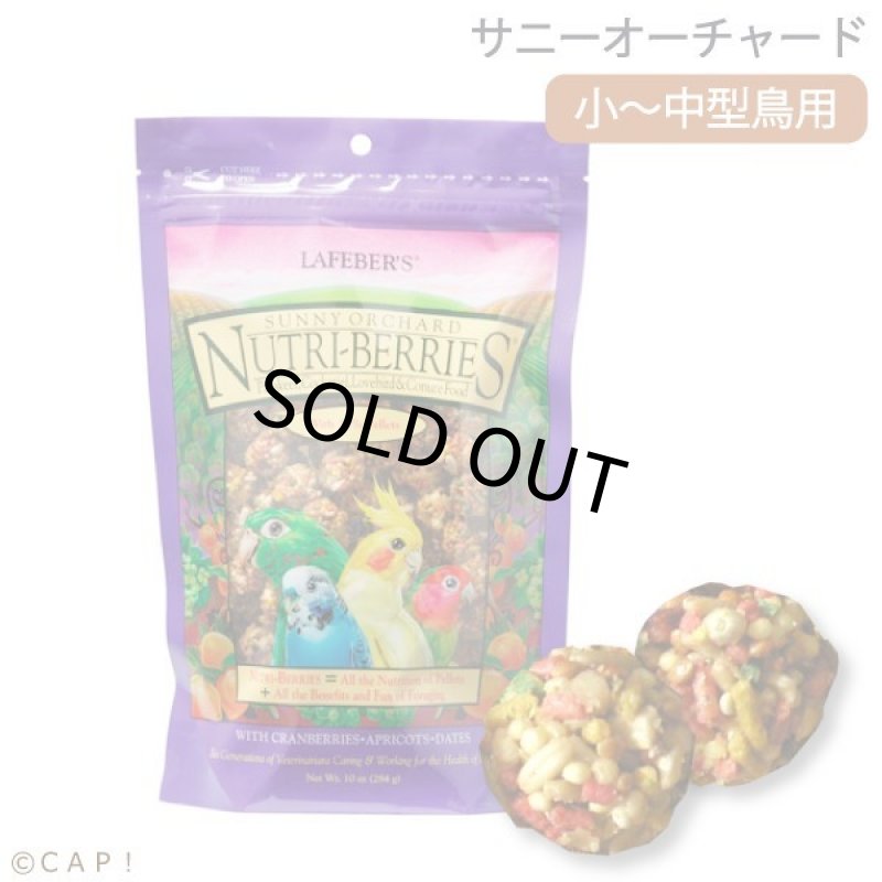 画像1: CAP! 鳥の餌 賞味期限2027/9/9ラフィーバー サニーオーチャード オカメインコ (10oz/284g) (1)