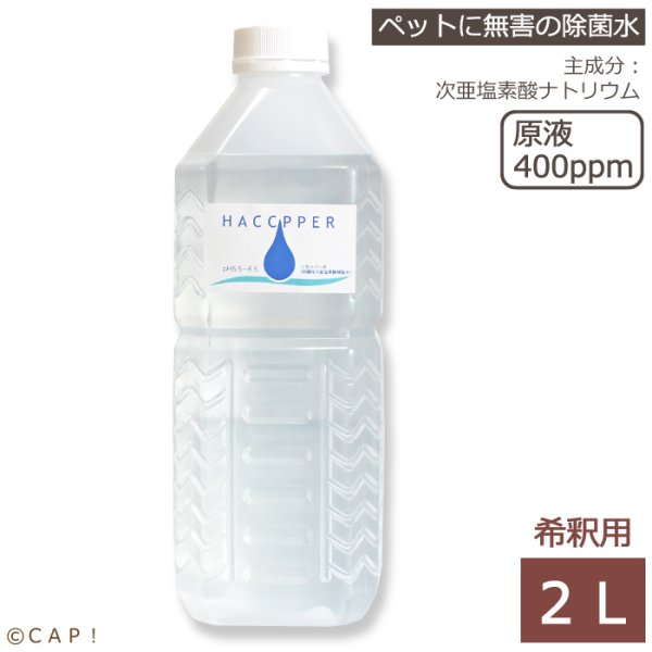 画像1: 【2025/4/3生成】 次亜塩素酸除菌剤 ハセッパー 2L (1)