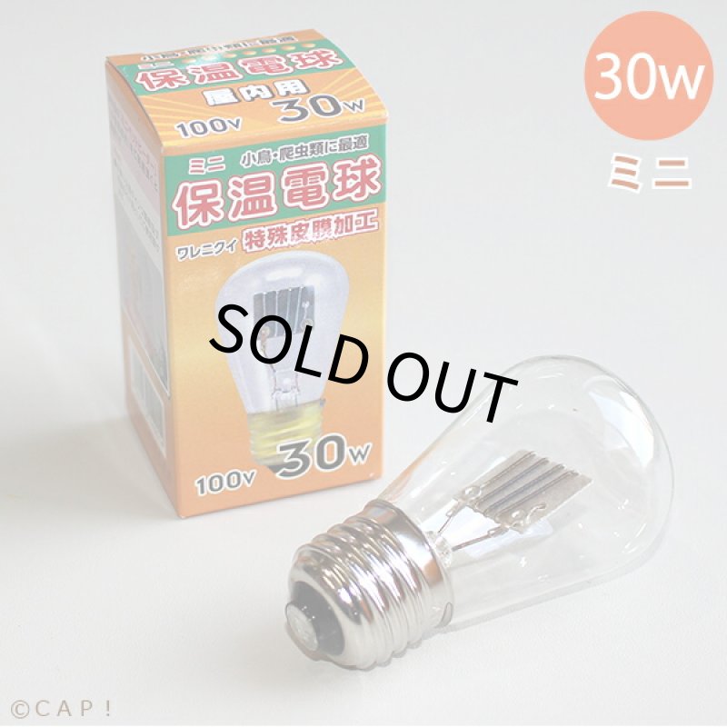 画像1: アサヒ ミニ保温電球 30W (1)
